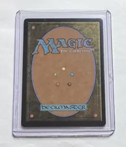 Plains #264 Bloomburrow Foil Full Art Land MTG NM/M - Image 2