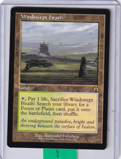 Windswept Heath (Retro Frame) * Modern Horizons 3 MTG Magic - Image 1