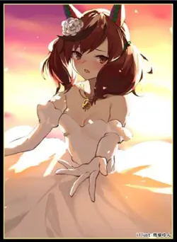 Cluster Card Sleeve ☆ “Uma Musume Wedding Nice Nature/illust: Umagasa Yun” [COMI - Image 1