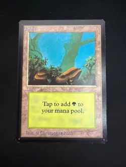 Magic The Gathering: Beta Forest (A) MTG Beta - Image 1