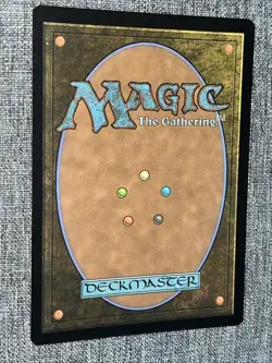 L 0266 Land Forest FOIL BORDERLESS Full Art Edge of Eternities EOE MTG Card - Image 2