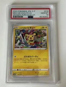 Pichu Graniph PSA10 Pokemon Card Japanese Promo Mischievous Art Hashemacho - Image 1