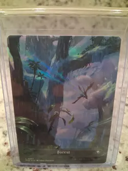 Forest- Edge of Eternity Borderless Foil MTG-NM - Image 1