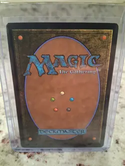 Forest- Edge of Eternity Borderless Foil MTG-NM - Image 2