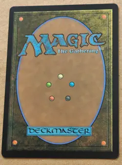 Many Partings Borderless 0445 MTG The Lord of the Rings Common Pack Fresh - Image 2