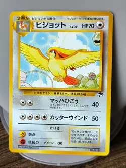 Set 6 Japan Pokemon Card Ivysaur Squirtle Wartortle VHS Promo Pidgeot Raticate. - Image 4