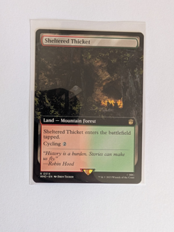MtG Sheltered Thicket Doctor Who Magic Gathering NM/M - Image 1