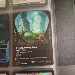 MTG Evendo, Waking Haven BORDERLESS 0279 EOE - Image 1