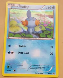 POKEMON PROMO CARD - XY BLACKSTAR PROMO - MUDKIP XY38 (HOLO) NM - Image 1