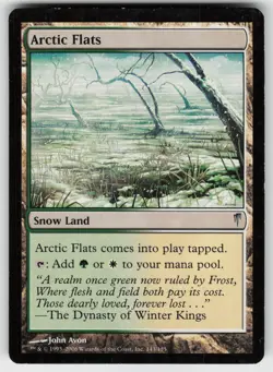 MTG Coldsnap #143 Arctic Flats Lightly played tcg - Image 1