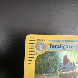 Feraligatr 12/165 Holo Rare-Pokemon TCG:WOTC Expedition Holo Rare E-series-HP - Image 5