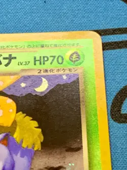 Dark Venusaur 003 Holo Japanese Promo Pokemon Card 2001 #2105 - Image 4
