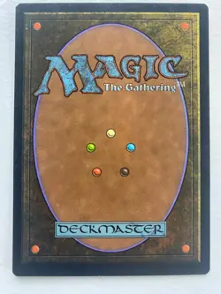 Adarkar Wastes Classic MTG Core Set 6th Edition Regular Magic the Gathering Card - Image 2