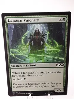 MTG - M21 - Llanowar Visionary - #193 - Near Mint - Image 1