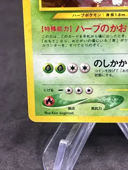 Meganium Holo No. 154 Neo Genesis 1996 Pokemon Japanese TCG 👀 - Image 4