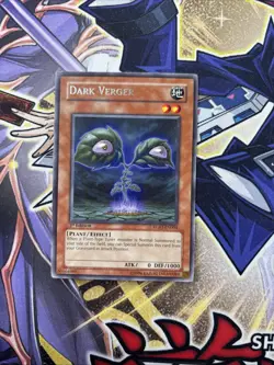 (YBL) Yugioh! LP Dark Verger - RGBT-EN004 - Rare - 1st Edition LP - Image 1