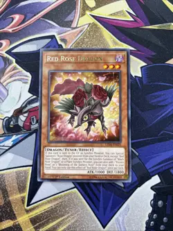 (YBL) Yugioh Red Rose Dragon LED4-EN025 Rare 1st Edition NM/VLP - Image 1