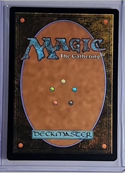 2023 MTG Magic The Gathering MAT The Aftermath Foil #24 Tranquil Frillback - Image 2