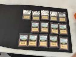 Mtg Plains 14x MP Collector’s Edition Magic CE Land Card MP - Image 1
