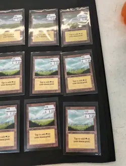 Mtg Plains 14x MP Collector’s Edition Magic CE Land Card MP - Image 2