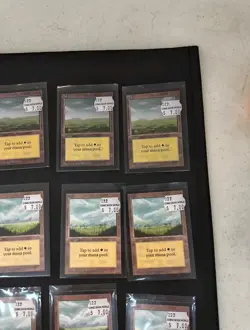 Mtg Plains 14x MP Collector’s Edition Magic CE Land Card MP - Image 3