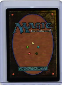 MTG Magic the Gathering Sungrass Prairie (428/801) Final Fantasy Commander NM - Image 2