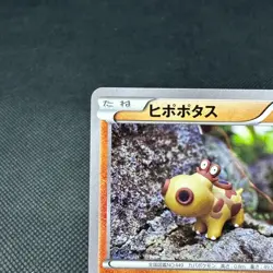 Hippopotas 159/XY-P Pokemon Center Promo Japanese Pokemon Card #7674 - Image 3