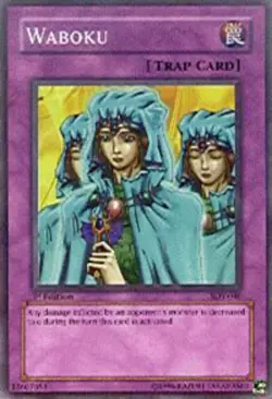 Heavily Played Waboku - SDY-040 - Common - 1st Edition - YuGiOh - Image 1