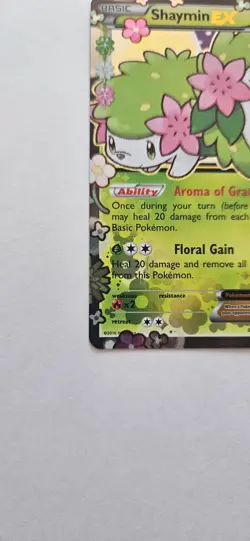 Shaymin EX (Black Star Promo XY148) - Lightly Played LP Pokemon Card - Image 4