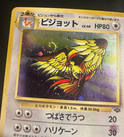 Pidgeot (No.018) Jungle Set 1997 - Japanese Pokemon Card | EXC - Image 2