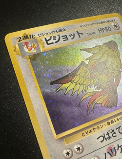Pidgeot (No.018) Jungle Set 1997 - Japanese Pokemon Card | EXC - Image 3