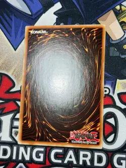 Yugioh Frost and Flame Dragon TAEV-EN033 1st Edition Secret Rare NM+ Foil Bleed - Image 5