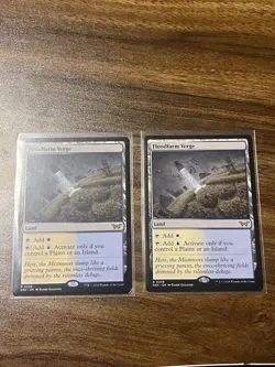 MTG 2x Floodfarm Verge Duskmourn - Image 1