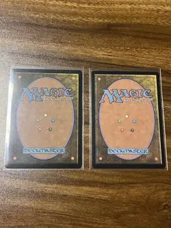 MTG 2x Floodfarm Verge Duskmourn - Image 2