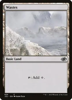 Wastes J22 LP MTG - Image 1