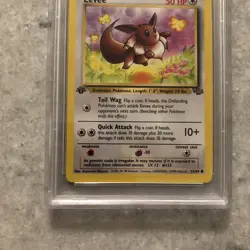 1999 Pokemon Jungle First 1st Edition Eevee #51 PSA 8 NM-MT - Image 3