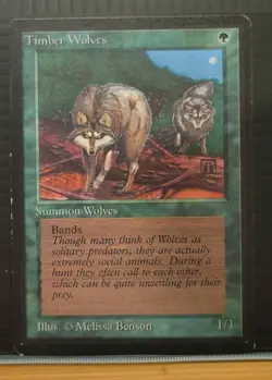 Mtg TIMBER WOLVES LP Beta Edition -Argo- - Image 1
