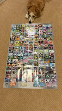 Pokemon Black Bolt Binder! Comes with Unova B&W Set Poster! - Image 3