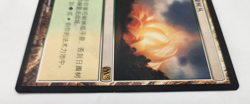Sunpetal Grove - MTG Magic Card Chinese M13 Core set 2013- LP Rare Land - Image 4