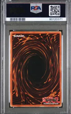PSA 8 - Yugioh - Mirage Knight 1st Edition - DCR-018 - Near Mint - Mint - Image 2