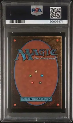 PSA 10 GEM MINT Tidus, Yuna's Guardian 0205 Borderless Foil Final Fantasy MTG - Image 2