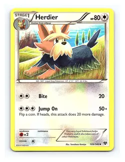 Herdier #109/146 XY Base Set Pokemon Uncommon - Image 1