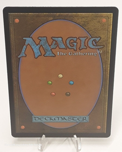 MTG - Bloomburrow - Driftgloom Coyote - #0011 - Playset x4 - Near Mint - Image 3