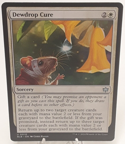 MTG - Bloomburrow - Dewdrop Cure - #0010 - Playset x4 - Near Mint - Image 1