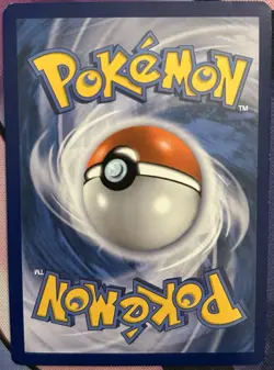 Pokemon TCG - Lotad 2/12 - 2015 McDonald's Holo Promo - LP+ - Image 2