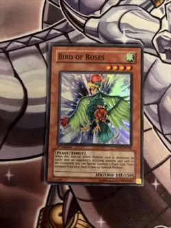 (YBL) Yugioh Bird of Roses TSHD-EN018 Super Rare 1st Edition VLP - Image 1