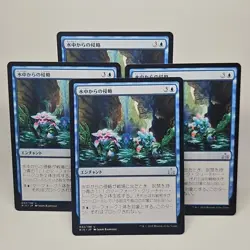 MTG Aquatic Incursion Rivals of Ixalan (U) 4xJapanese Magic The Gathering 32/196 - Image 1