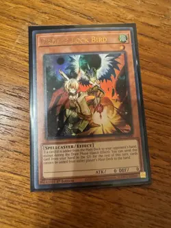 Droll & Lock Bird - RA02-EN006 - Ultra Rare - 1st Edition - NM Card - Image 1