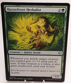 MTG - Bloomburrow - Hazardroot Herbalist - #0174 - Playset x4 - Near Mint - Image 1