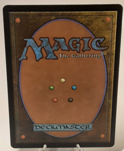 MTG - Bloomburrow - Forest #0280 - Full Art - #0280 - Playset x4 - Near Mint - Image 3